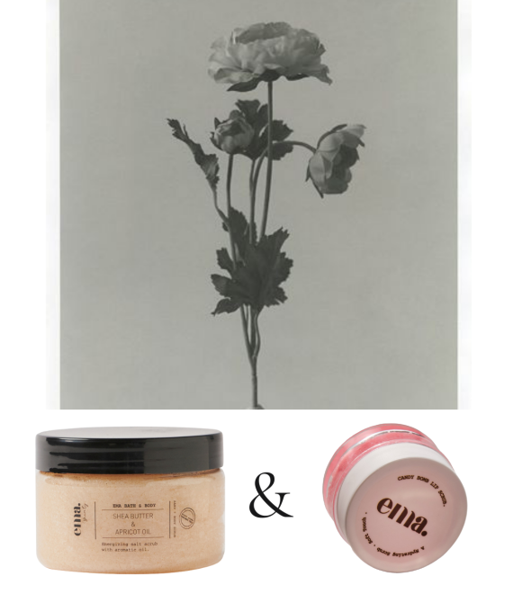 Hand + Body Shea Butter & Apricot Oil Scrub + Candy Bomb Lip Scrub