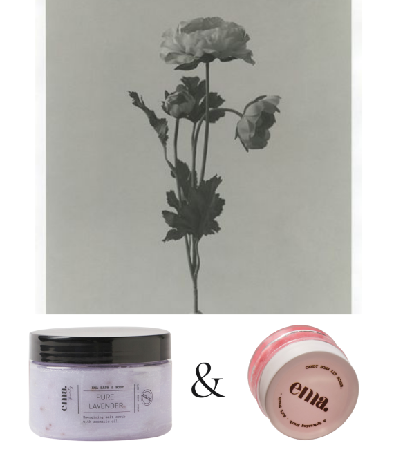 Hand + Body Pure Lavender Scrub + Candy Bomb Lip Scrub