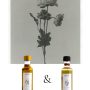 Cellulite Massage Oil + Skintherapy Massage Oil