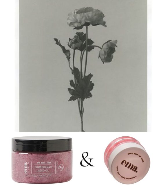Hand + Body Pomegranate Seed Oil Scrub + Candy Bomb Lip Scrub